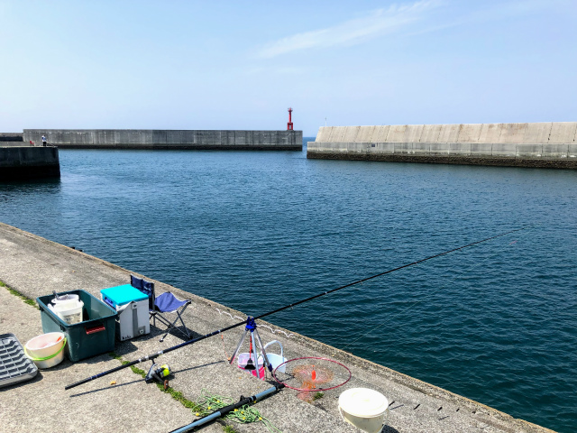 f:id:fabifuten:20190508101046j:plain