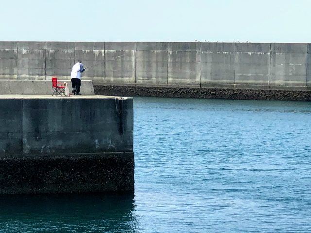 f:id:fabifuten:20190508101049j:plain