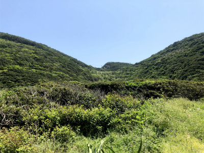 f:id:fabifuten:20190525120917j:plain