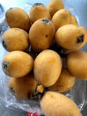 f:id:fabifuten:20190526063752j:plain