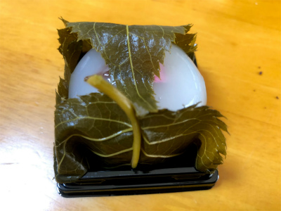 f:id:fabifuten:20190526065253j:plain