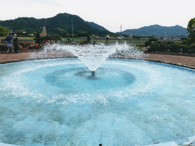 f:id:fabifuten:20190602075842j:plain