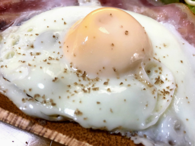 f:id:fabifuten:20190603084727j:plain
