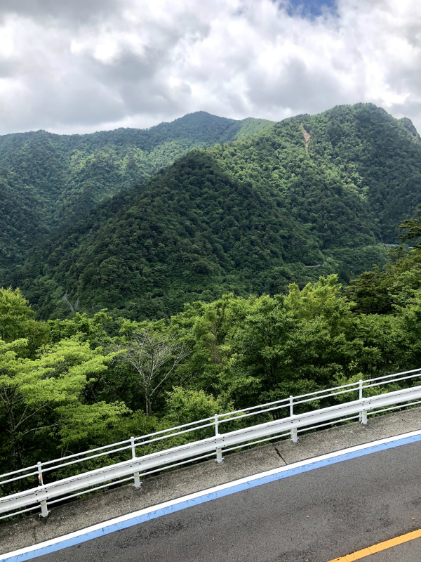 f:id:fabifuten:20190617073710j:plain f:id:fabifuten:20190617073710j:plain