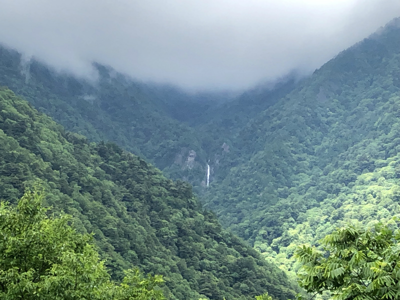 f:id:fabifuten:20190617073712j:plain f:id:fabifuten:20190617073712j:plain