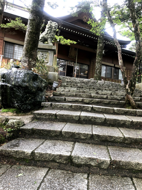 f:id:fabifuten:20190617073722j:plain f:id:fabifuten:20190617073722j:plain