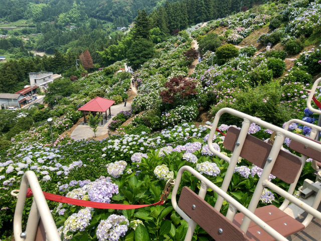 f:id:fabifuten:20190623102808j:plain f:id:fabifuten:20190623102808j:plain