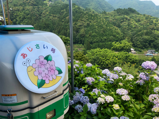 f:id:fabifuten:20190623102811j:plain f:id:fabifuten:20190623102811j:plain