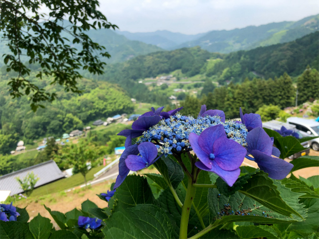 f:id:fabifuten:20190623102822j:plain f:id:fabifuten:20190623102822j:plain