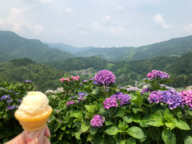f:id:fabifuten:20190623102840j:plain f:id:fabifuten:20190623102840j:plain