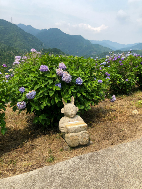 f:id:fabifuten:20190623102856j:plain f:id:fabifuten:20190623102856j:plain