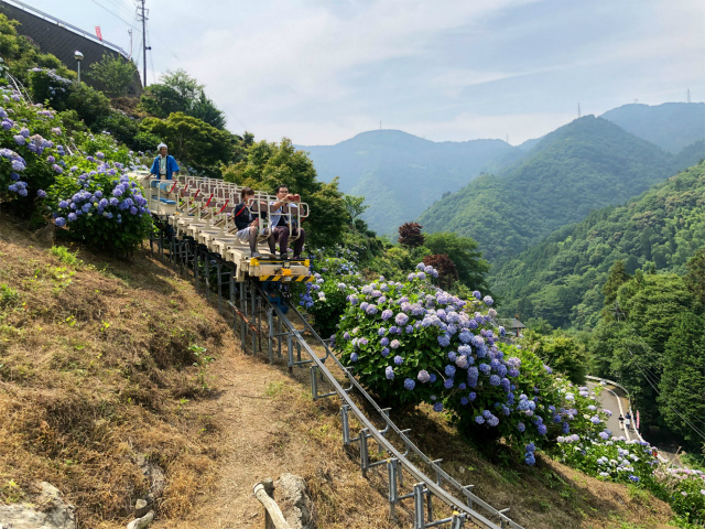 f:id:fabifuten:20190623102916j:plain f:id:fabifuten:20190623102916j:plain