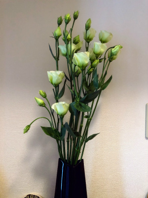 f:id:fabifuten:20190626151617j:plain