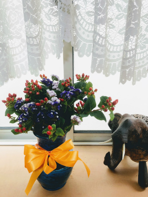 f:id:fabifuten:20190626151625j:plain