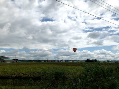 f:id:fabifuten:20190826083235j:plain