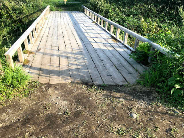 f:id:fabifuten:20190826151446j:plain