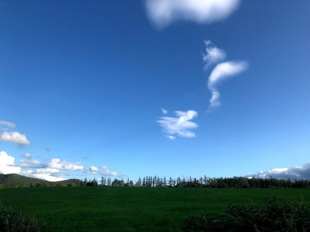 f:id:fabifuten:20190826151449j:plain