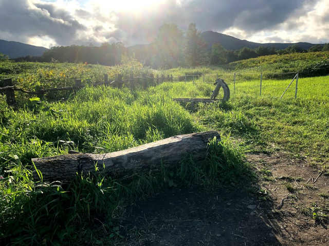 f:id:fabifuten:20190827064849j:plain