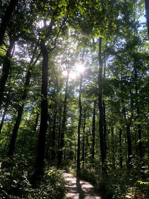 f:id:fabifuten:20190828100229j:plain f:id:fabifuten:20190828100229j:plain