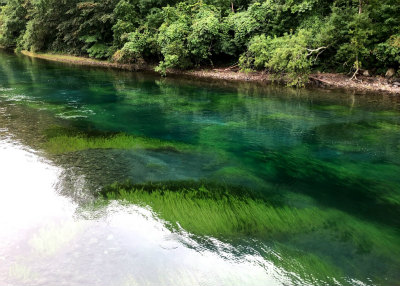 f:id:fabifuten:20190830080348j:plain