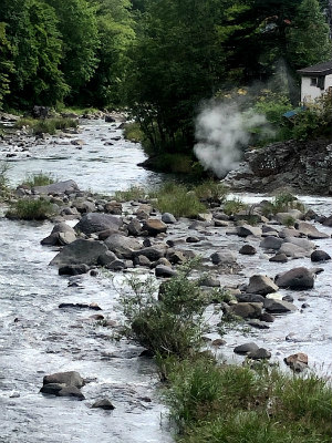 f:id:fabifuten:20190830082138j:plain