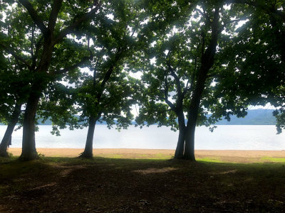 f:id:fabifuten:20190830104420j:plain