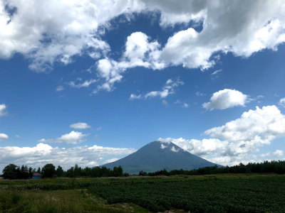 f:id:fabifuten:20190903061236j:plain