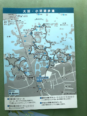 f:id:fabifuten:20190903061656j:plain