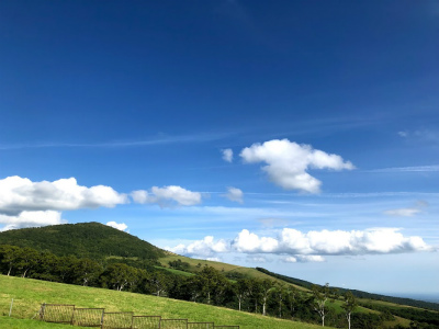 f:id:fabifuten:20190903062024j:plain