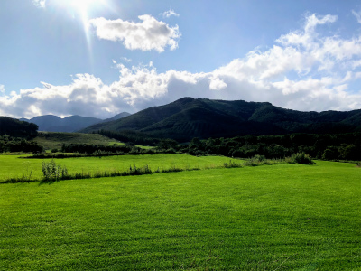 f:id:fabifuten:20190909073531j:plain f:id:fabifuten:20190909073531j:plain