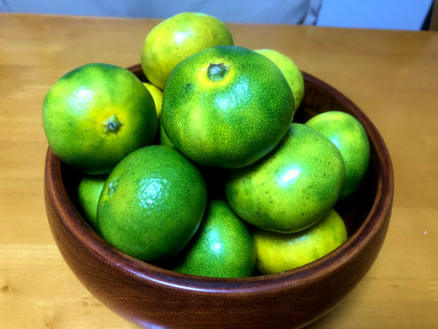 f:id:fabifuten:20190913095056j:plain