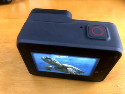 f:id:fabifuten:20190916205010j:plain