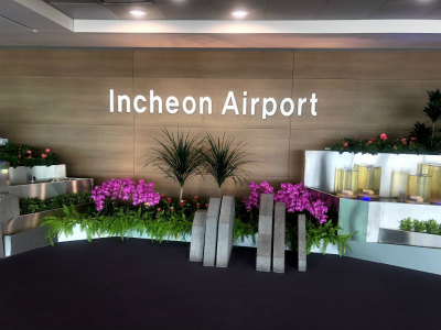 f:id:fabifuten:20190917182814j:plain