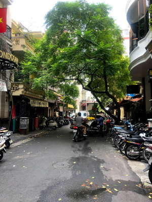 f:id:fabifuten:20190918224451j:plain