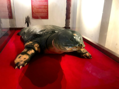 f:id:fabifuten:20190918231217j:plain