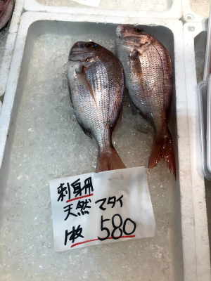 f:id:fabifuten:20190929212511j:plain