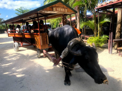 f:id:fabifuten:20191112030931j:plain