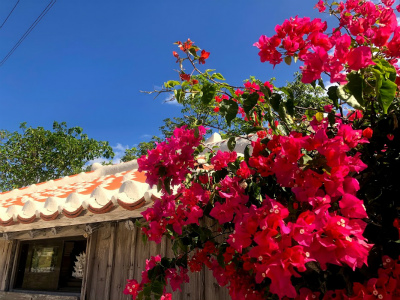 f:id:fabifuten:20191112030953j:plain