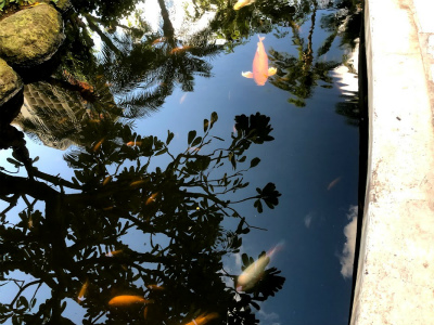 f:id:fabifuten:20191212034756j:plain