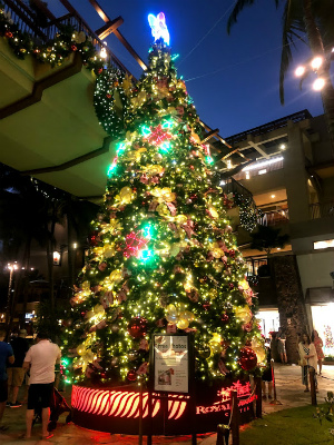 f:id:fabifuten:20191212040144j:plain