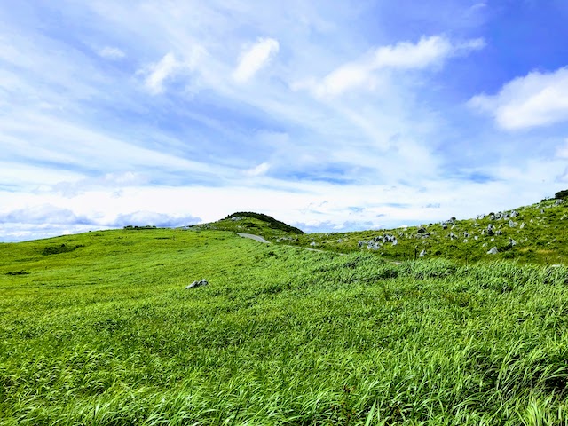 f:id:fabifuten:20200806162441j:plain