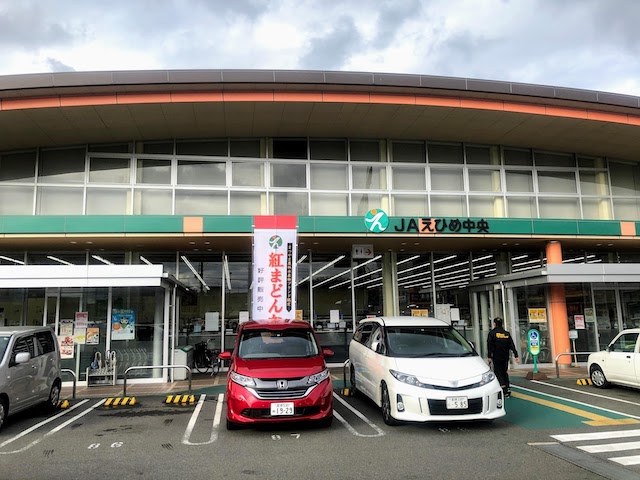 f:id:fabifuten:20201215064855j:plain