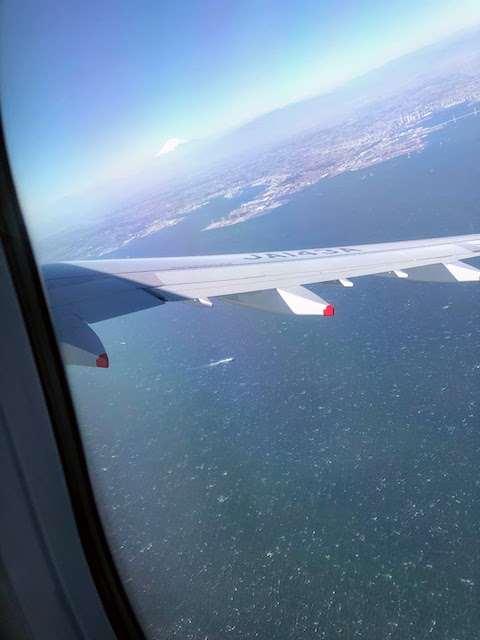 f:id:fabifuten:20210221084820j:plain