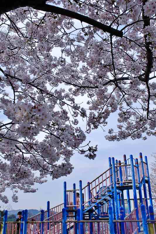 f:id:fabifuten:20210328080815j:plain