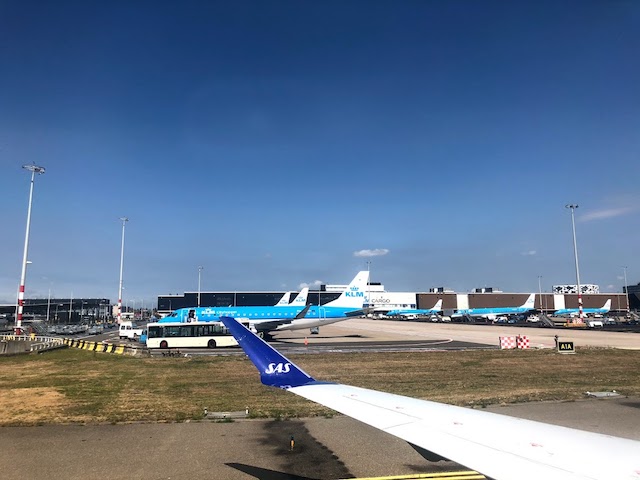 f:id:fabifuten:20210421092019j:plain