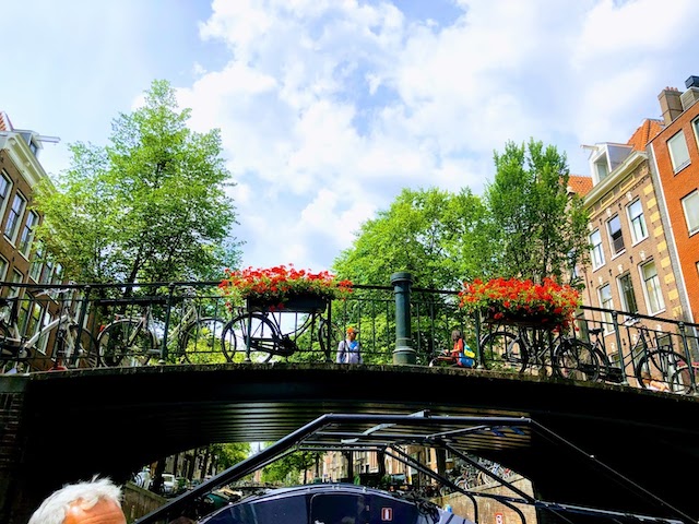 f:id:fabifuten:20210426113318j:plain