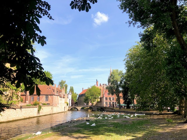 f:id:fabifuten:20210503101245j:plain