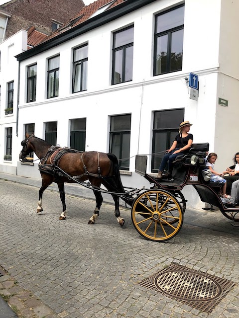 f:id:fabifuten:20210503101310j:plain