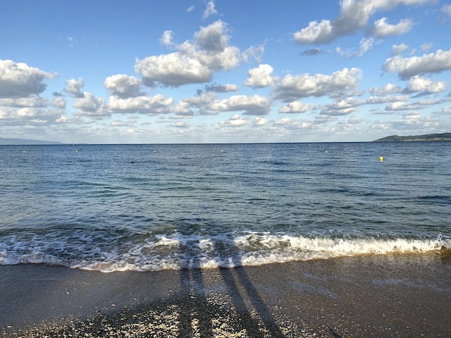 f:id:fabifuten:20210729194007j:plain