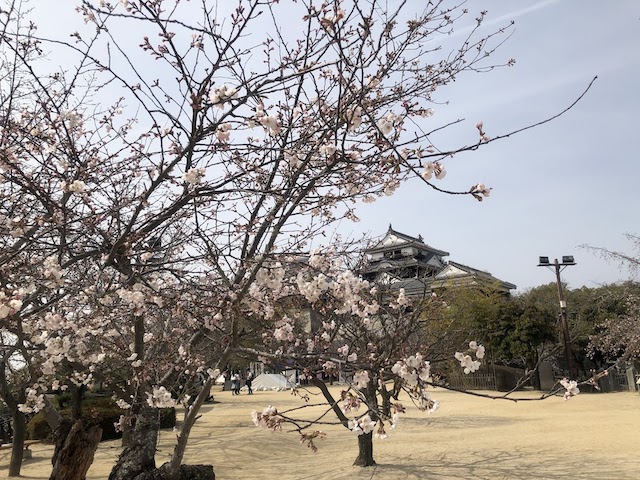 f:id:fabifuten:20220325163725j:plain